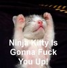 ninja kitty