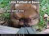 Beware: Puffball of Doom