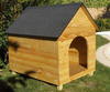 Dog House