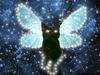 A cat fairy pet for you.