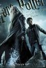 Harry and Dumbledore poster