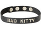 your kitty been bad?