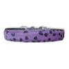 Purple Spotted Collar