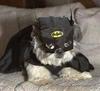 Bat Man Protection