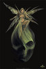 Absinth fairy