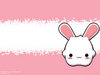 Pink bunny