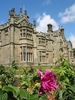 A Summers Day @ Margam Park