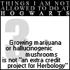 Things Not Allowed In Hogwarts 3