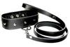 Leather leash and collar