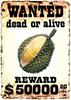 ~a WANTED DURIAN~