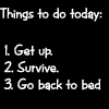 plan for the day
