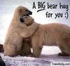 A BIG Bear Hug