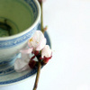 peach blossom green tea! :))