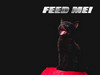 feed me!!