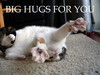 BIG hug for you!