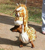 Giraffe... urm dog