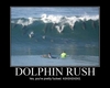 Dolphin Rush