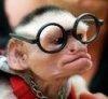 harry potter monkey