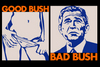 Good bush .. Bad Bush