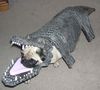 croc dress up