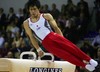 Olympic Gymnast Hiroyuki Tomita