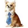 Fancy Pet Tie