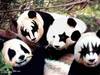 rock.pandas