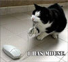 ★I caught a mouse★ Meoww★