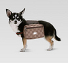 gucci pet backpack