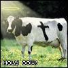 Holy Cow!