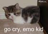 Go cry, Emo kid