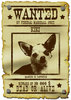 Wanted