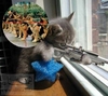 sniper cat