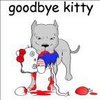 Goodbye kitty