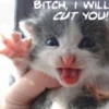threatening kitten