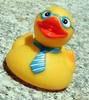 DUCKY