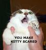 Make your kitty scared!
