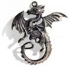 Dragon amulet