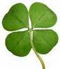 Luck o'the Irish