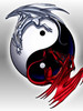 YinYang Dragons