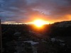 Sydney harbour sunset