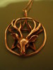 a pentagram with deer totem