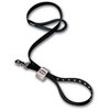 Leash for Training your Pet