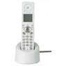 `a white wireless telephoneζ