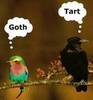 goth.... tart
