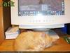 Away from keyboard...