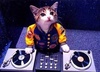 DJ Kitty to remix at your house