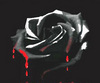 Black Rose