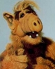 Alf Doll