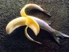 Banana Fish (JD Salinger)
